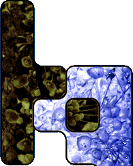 HQ Communications
